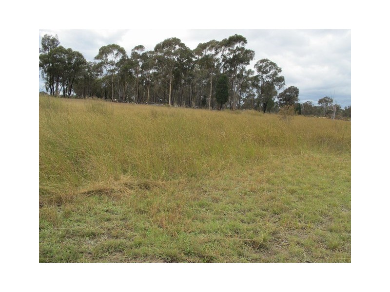1029 Spring Creek Road, Mudgee NSW 2850