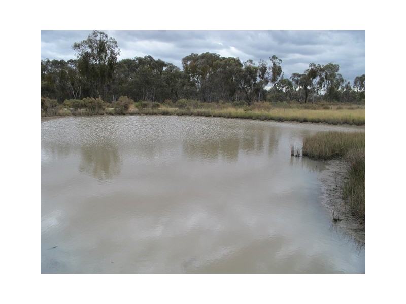 1029 Spring Creek Road, Mudgee NSW 2850