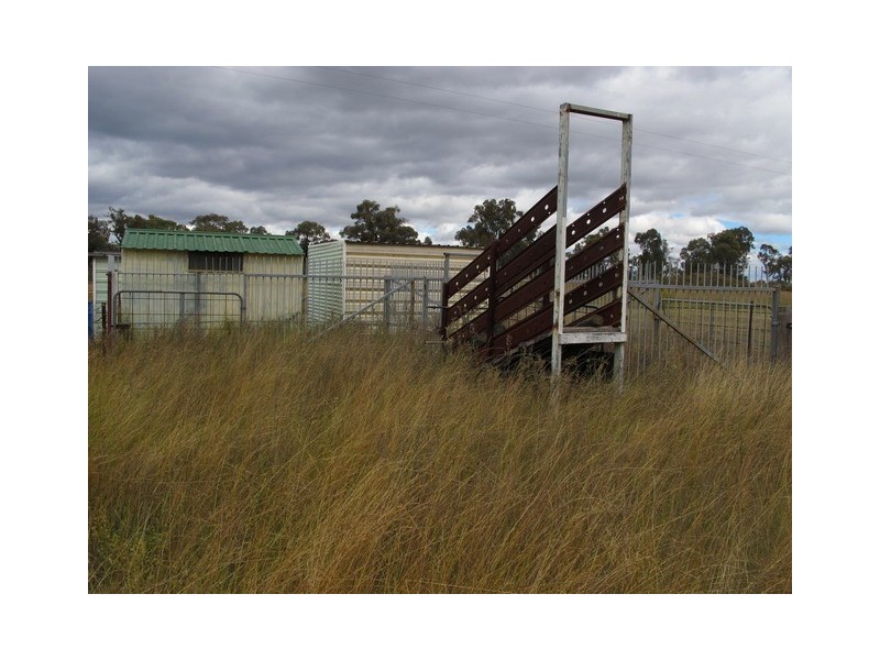 1029 Spring Creek Road, Mudgee NSW 2850