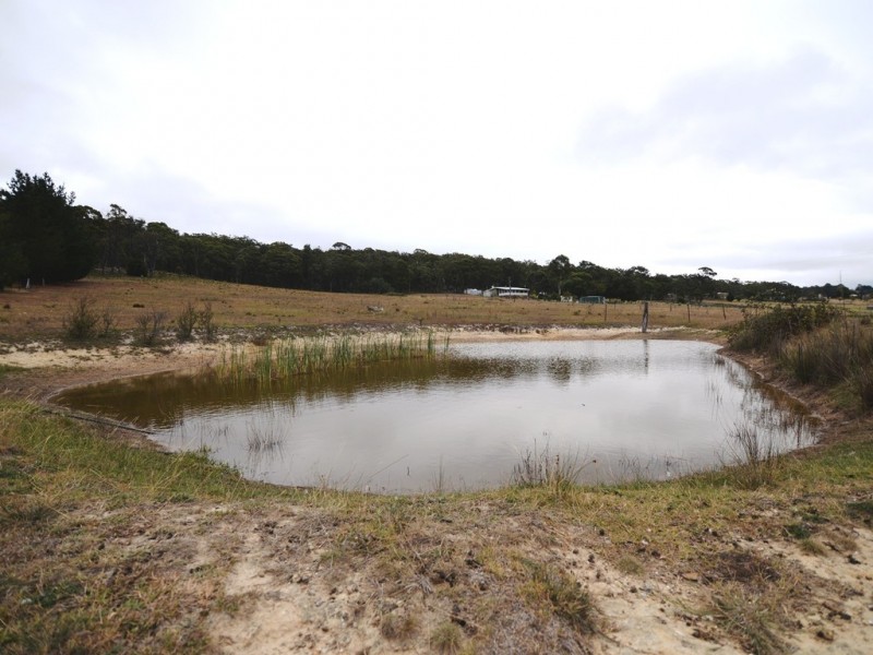 768 Bocoble Road, Mudgee NSW 2850