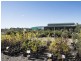 243 Castlereagh Highway, Mudgee NSW 2850