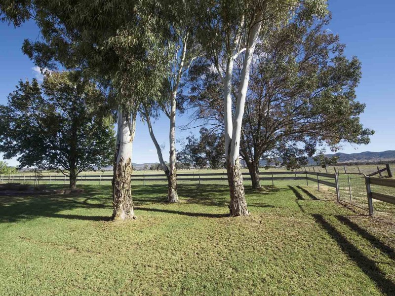243 Castlereagh Highway, Mudgee NSW 2850