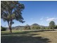 243 Castlereagh Highway, Mudgee NSW 2850