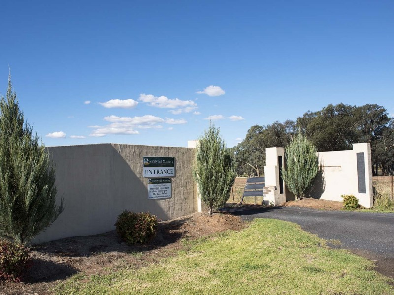 243 Castlereagh Highway, Mudgee NSW 2850