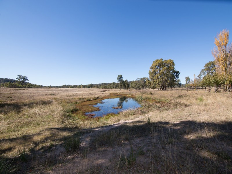 129 White Cedars Road, Mudgee NSW 2850