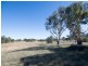 129 White Cedars Road, Mudgee NSW 2850