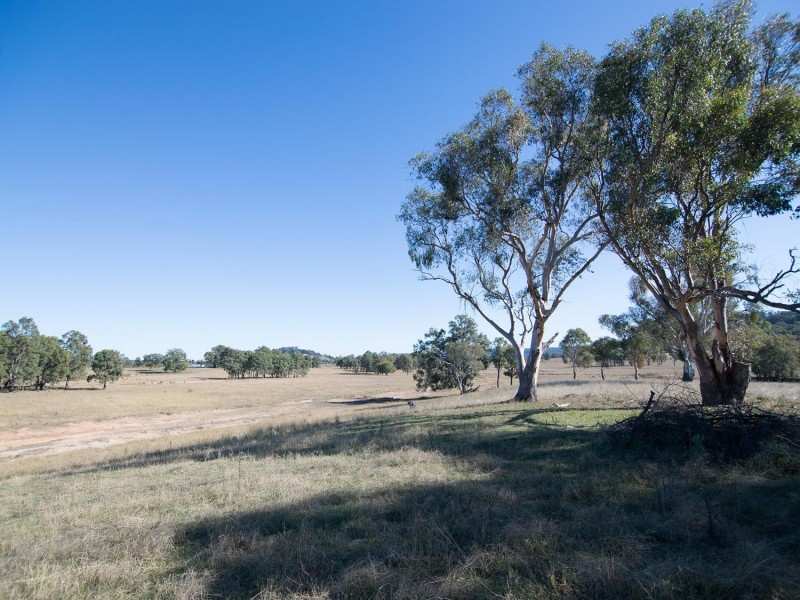 129 White Cedars Road, Mudgee NSW 2850