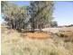129 White Cedars Road, Mudgee NSW 2850