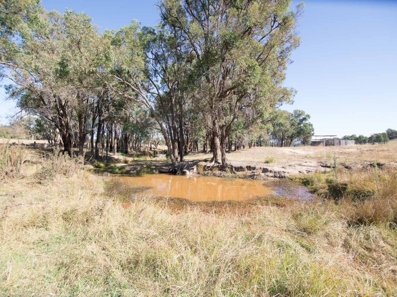 129 White Cedars Road, Mudgee NSW 2850