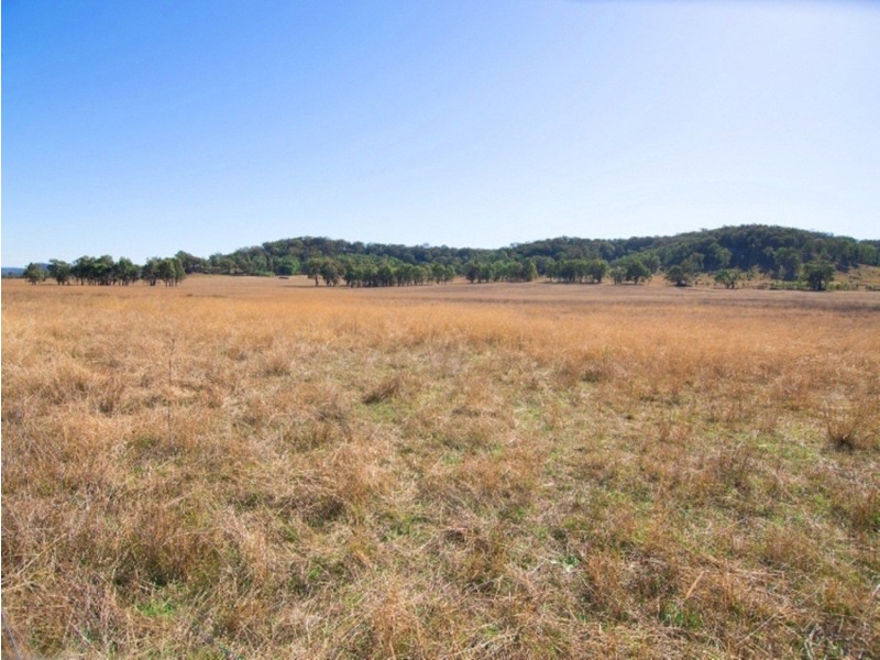 63,70 and 71 of 129 White Cedars Road, Mudgee NSW 2850