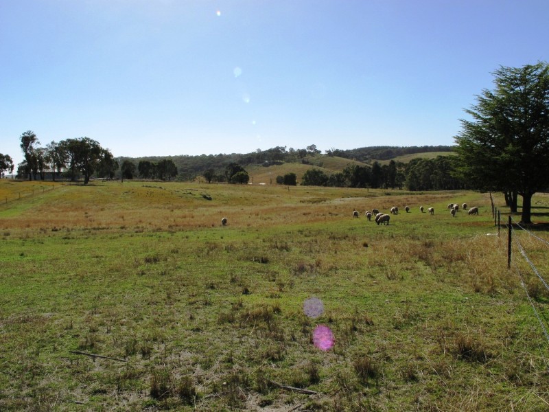 282 Triamble Road, Mudgee NSW 2850