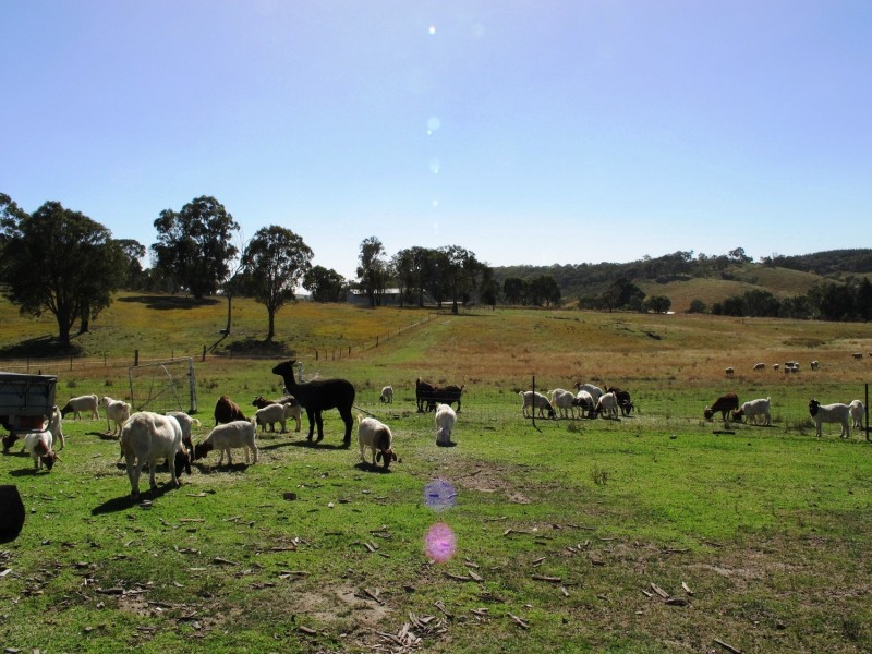 282 Triamble Road, Mudgee NSW 2850