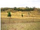 306 Windeyer Road, Mudgee NSW 2850