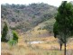 306 Windeyer Road, Mudgee NSW 2850