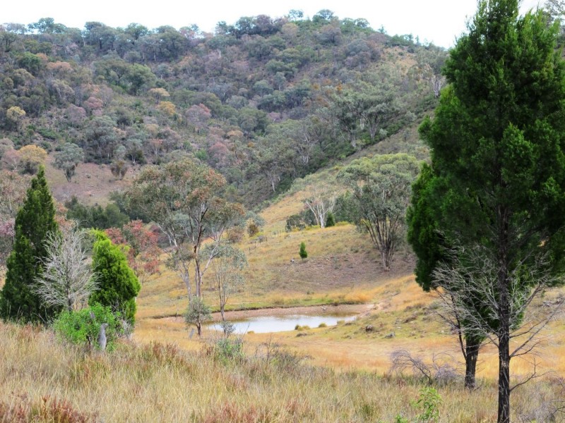 306 Windeyer Road, Mudgee NSW 2850