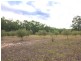 403 White Cedars Road, Mudgee NSW 2850