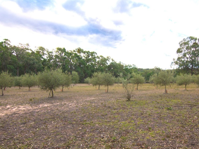 403 White Cedars Road, Mudgee NSW 2850