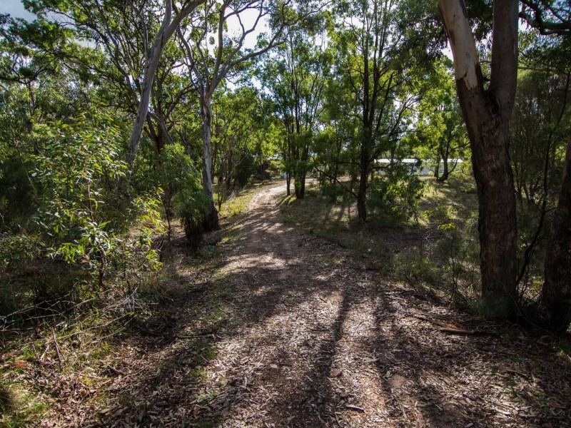 403 White Cedars Road, Mudgee NSW 2850