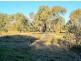480 Yarrawonga Road, Mudgee NSW 2850