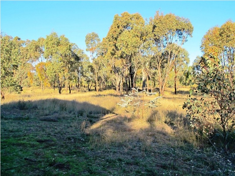 480 Yarrawonga Road, Mudgee NSW 2850