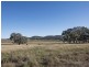 75 Crossings Road, Mudgee NSW 2850