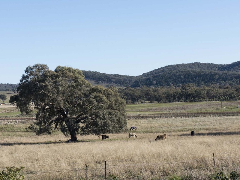 75 Crossings Road, Mudgee NSW 2850
