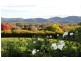 “Bombira” 160 Ulan Road, Mudgee NSW 2850