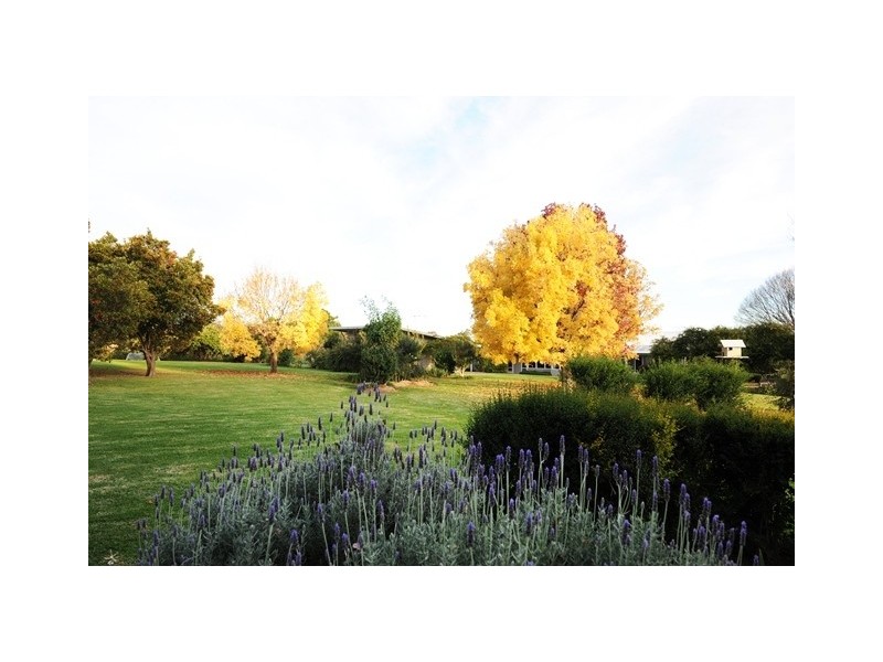 “Bombira” 160 Ulan Road, Mudgee NSW 2850