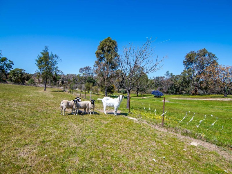 2745 Ulan Road, Mudgee NSW 2850