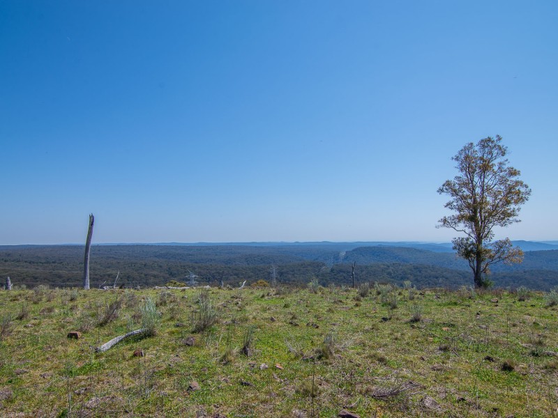 239 Upper Botobolar Road, Mudgee NSW 2850