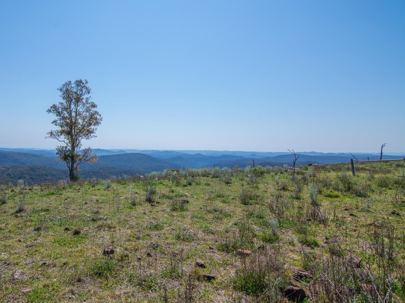 239 Upper Botobolar Road, Mudgee NSW 2850