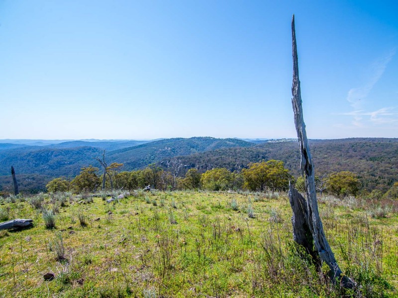 239 Upper Botobolar Road, Mudgee NSW 2850