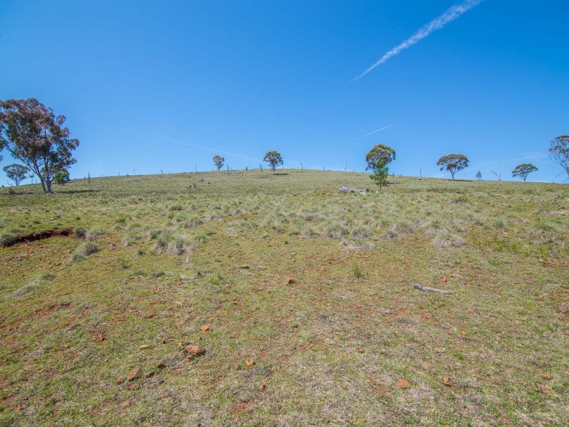 239 Upper Botobolar Road, Mudgee NSW 2850
