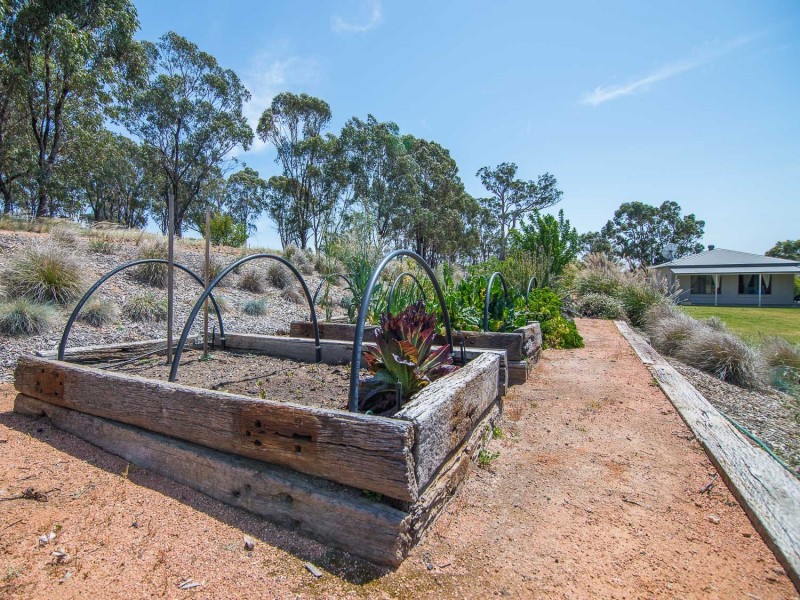 1996 Lower Piambong Road, Mudgee NSW 2850