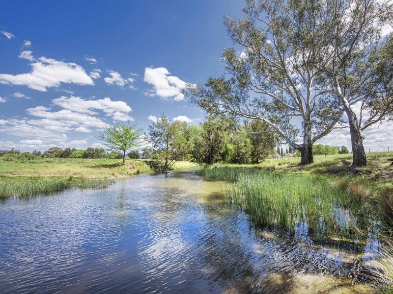 344 Wilbetree Road, Mudgee NSW 2850