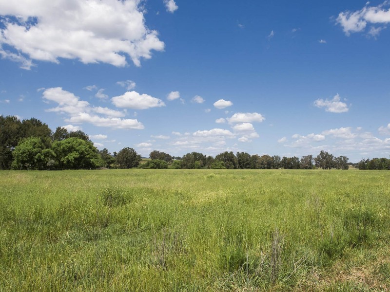 344 Wilbetree Road, Mudgee NSW 2850
