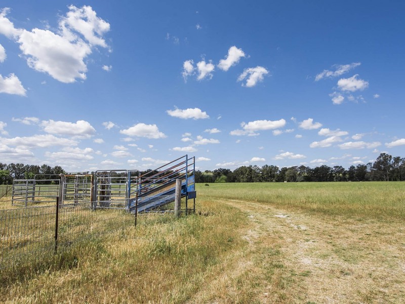 344 Wilbetree Road, Mudgee NSW 2850