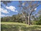 344 Wilbetree Road, Mudgee NSW 2850
