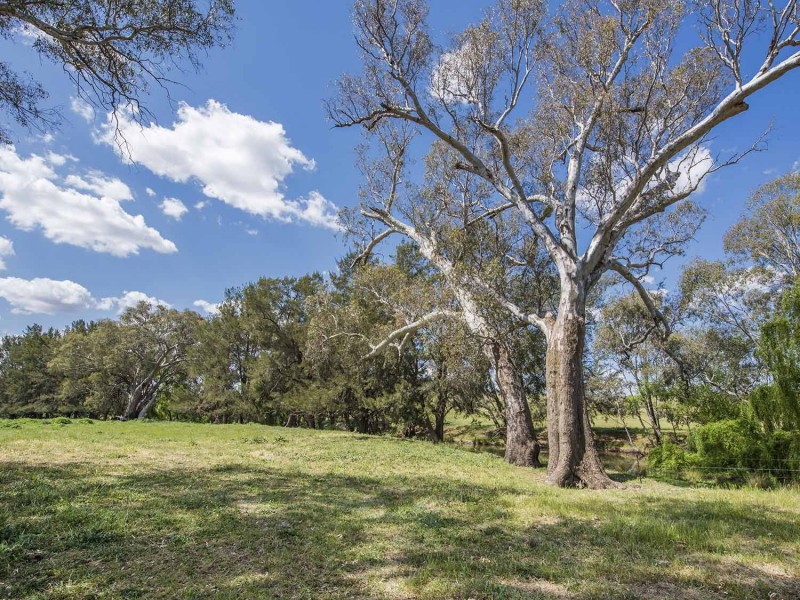 344 Wilbetree Road, Mudgee NSW 2850