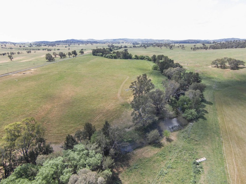 344 Wilbetree Road, Mudgee NSW 2850