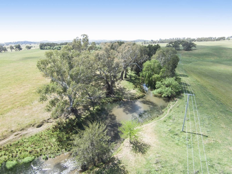 344 Wilbetree Road, Mudgee NSW 2850