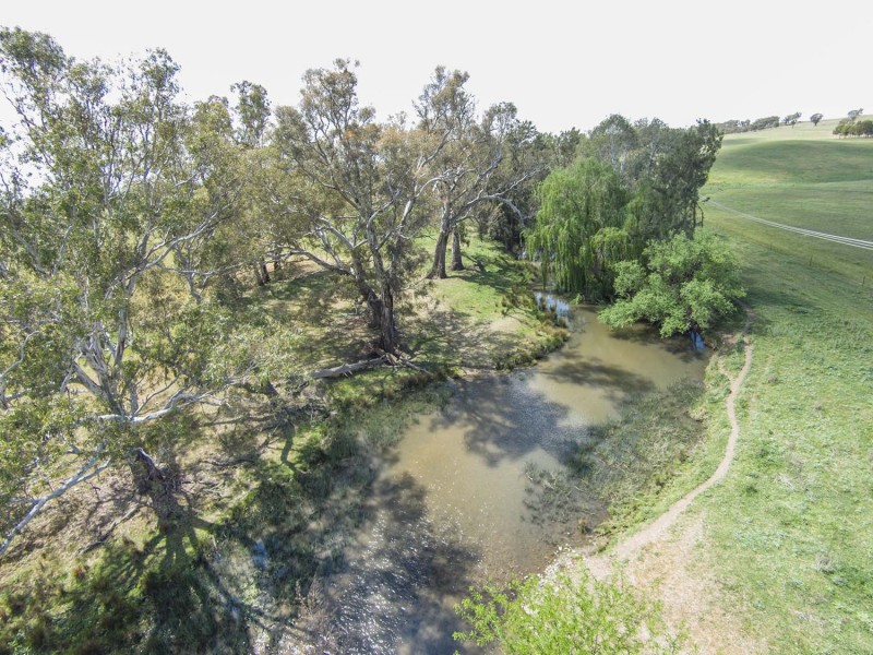 344 Wilbetree Road, Mudgee NSW 2850
