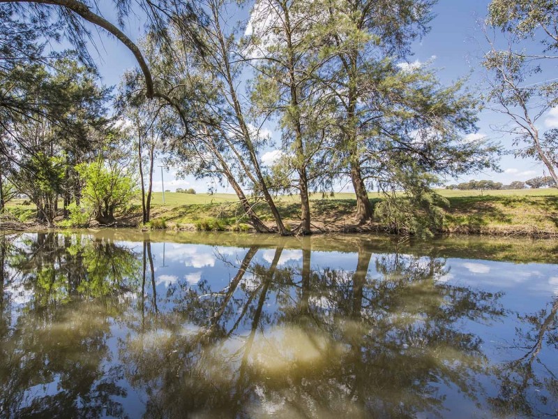 344 Wilbetree Road, Mudgee NSW 2850