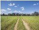 344 Wilbetree Road, Mudgee NSW 2850