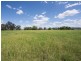 344 Wilbetree Road, Mudgee NSW 2850