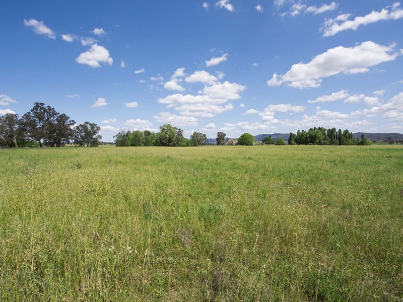 344 Wilbetree Road, Mudgee NSW 2850