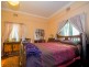 50 Horatio Street, Mudgee NSW 2850