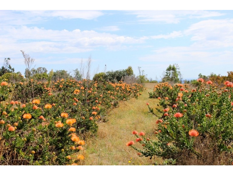 2883 Ulan Road, Mudgee NSW 2850