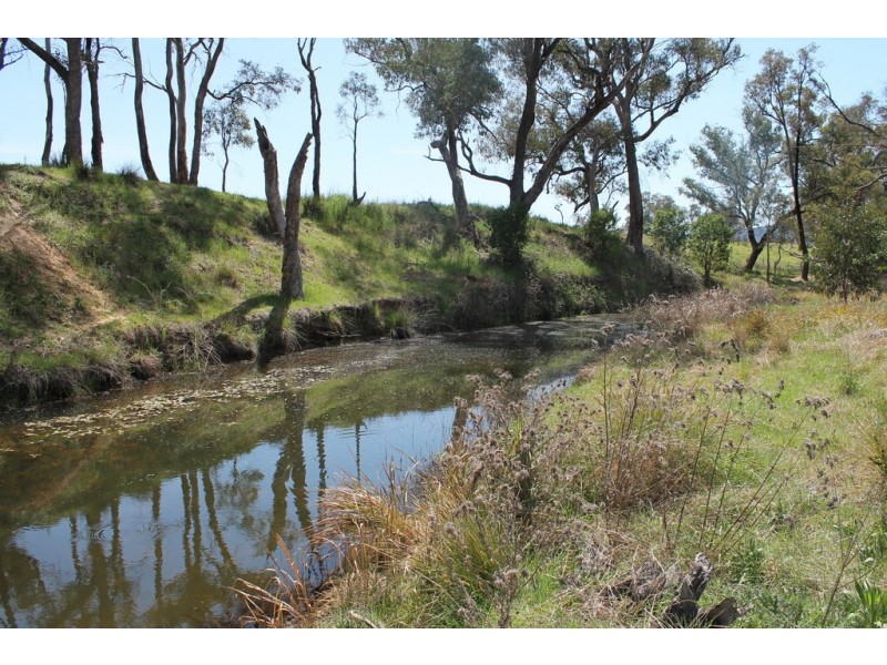 697 Linburn Lane, Mudgee NSW 2850