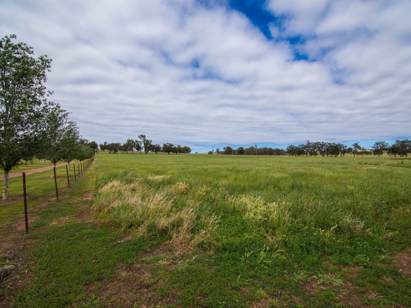 285 Botobolar Road, Mudgee NSW 2850
